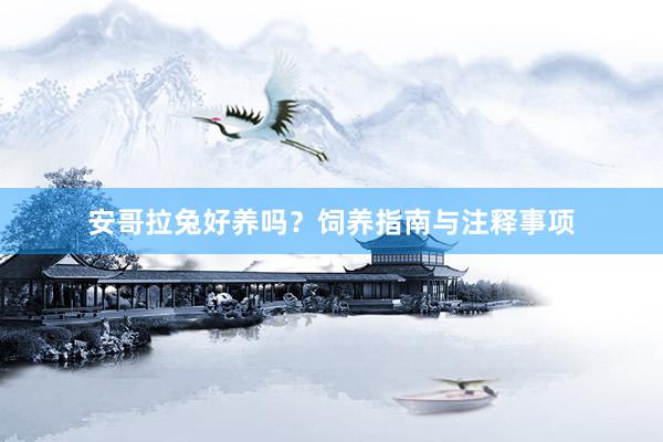 安哥拉兔好养吗?饲养指南与注释事项