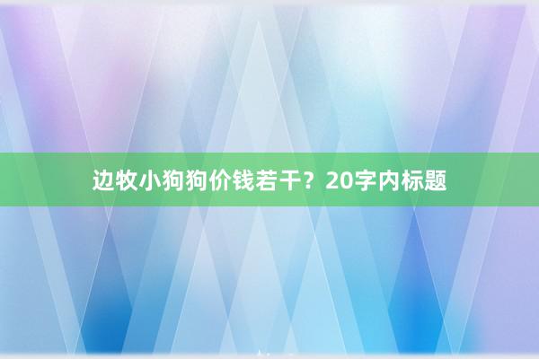 边牧小狗狗价钱若干？20字内标题