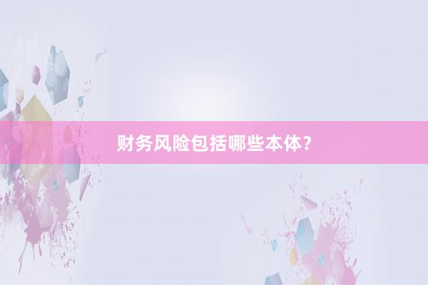 财务风险包括哪些本体？